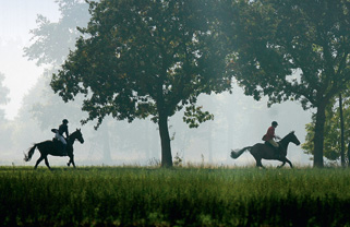 Photo Reiter mit Pferden reiten auf Wiese