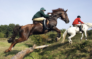 Photo Pferd mit Reiter springt über ein Hindernis